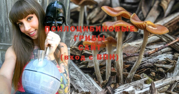 PSILOCYBIN Верхнеуральск