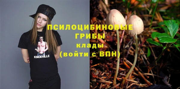 PSILOCYBIN Верхнеуральск
