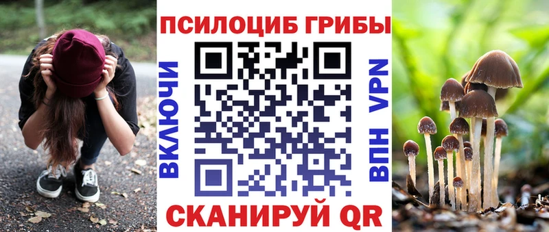Псилоцибиновые грибы Psilocybe  Новохопёрск 
